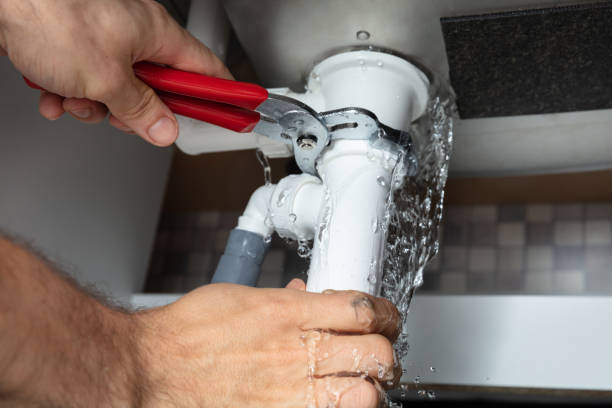 Best Water damage contractors near me  in Delavan, WI