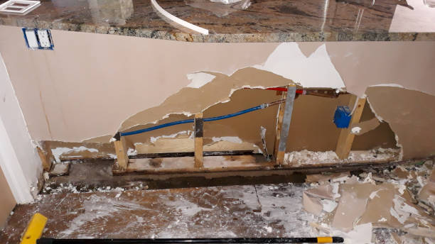 Best Basement water damage restoration  in Delavan, WI
