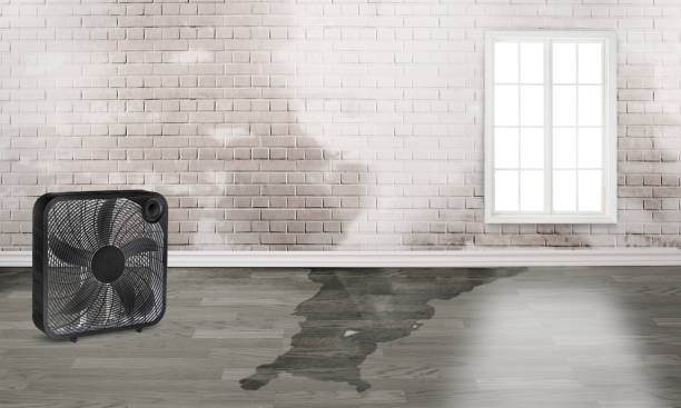 Best Water damage restoration cost  in Delavan, WI