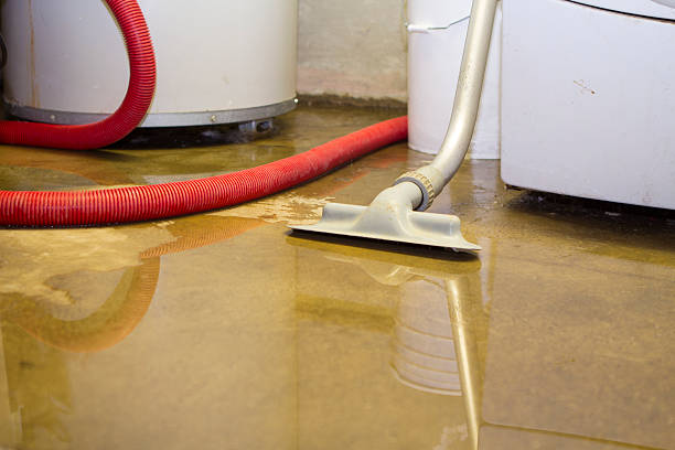 Best Ceiling water damage repair  in Delavan, WI